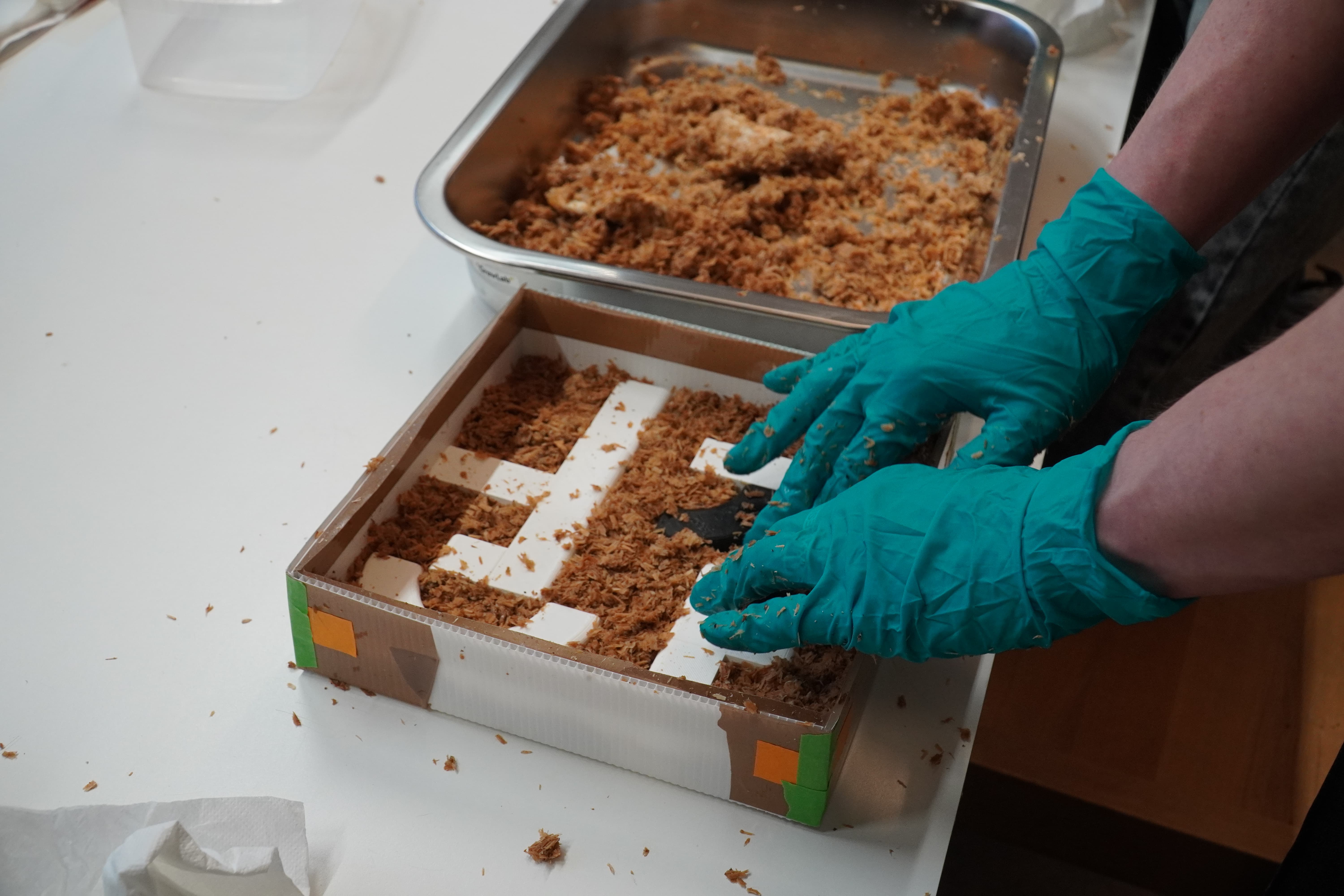 Mycelium chunks are tucked in nice and cozily,especially around the corners of the moulds.