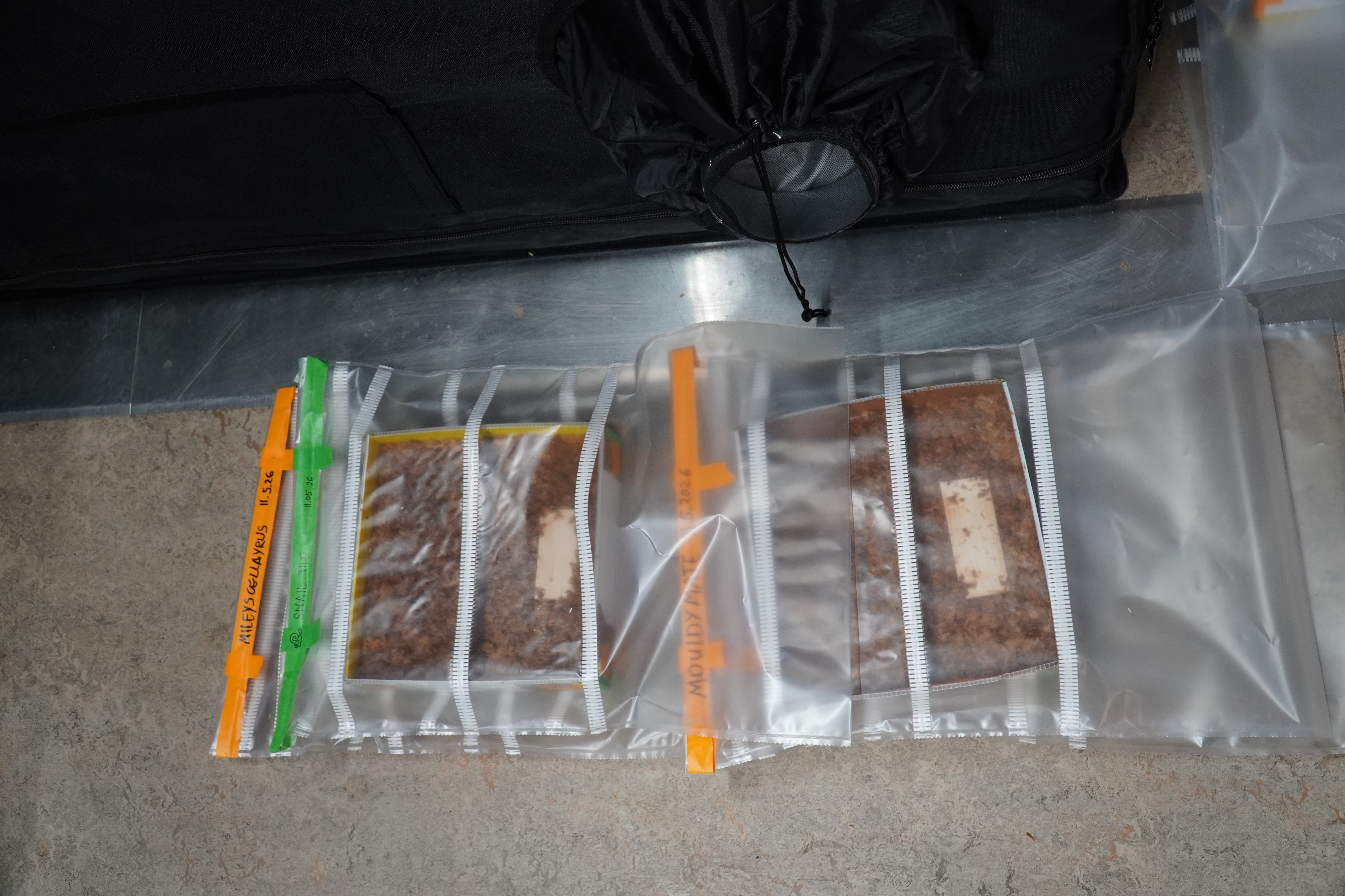 Two filled up moulds are stored in two bags.