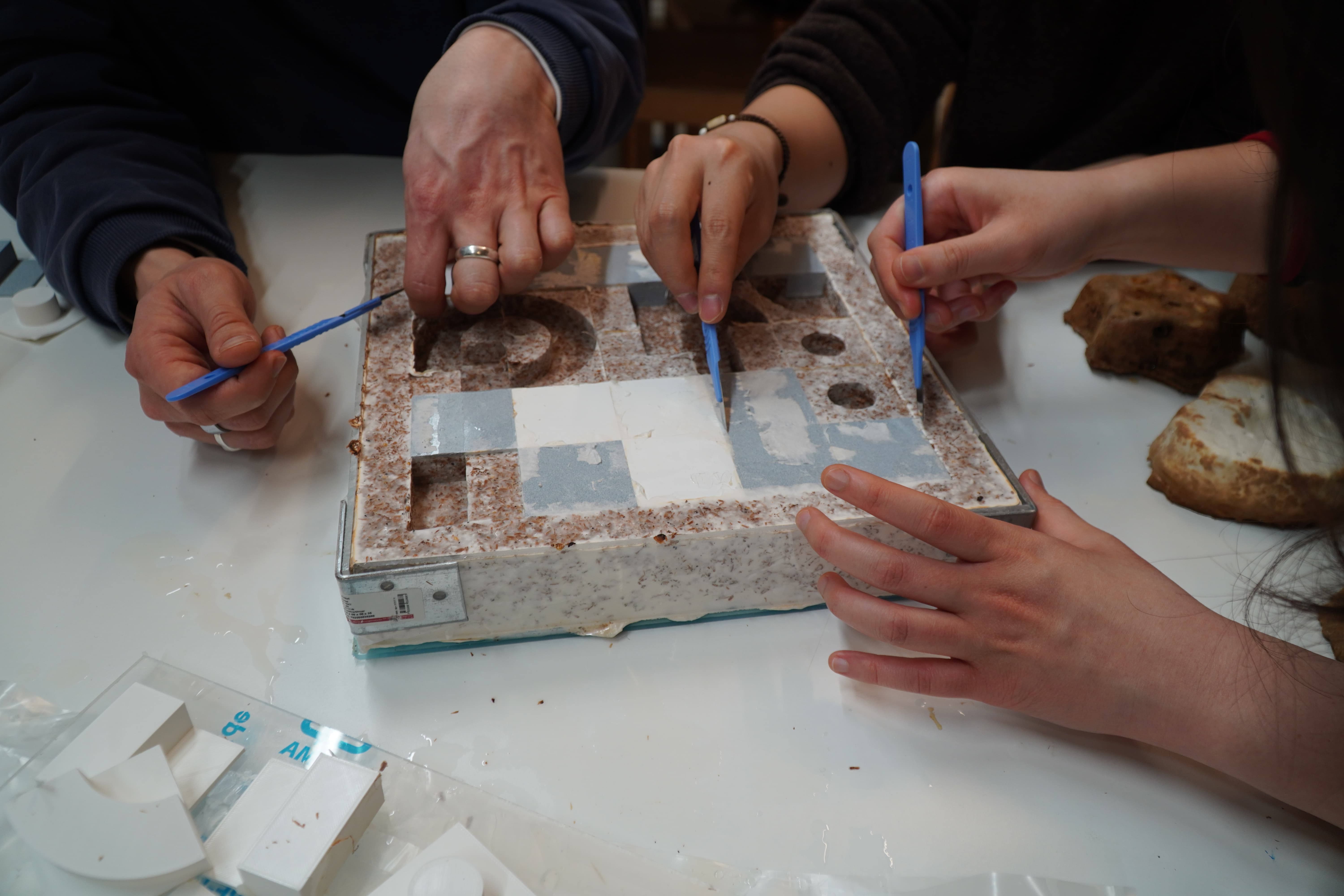 Photo from the second mycelium design workshop