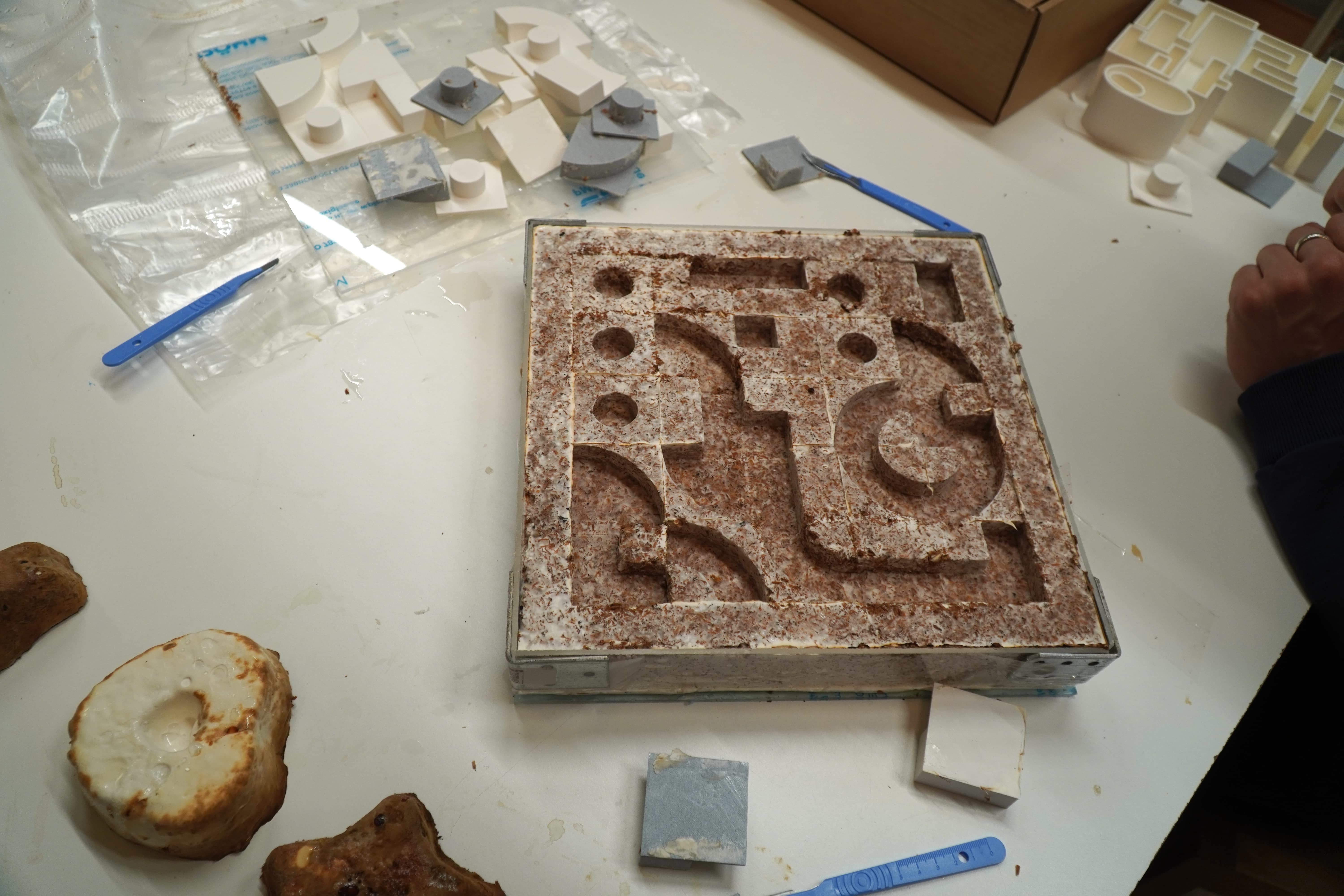 Mycelium dried and demoulded four days after the design workshop.
